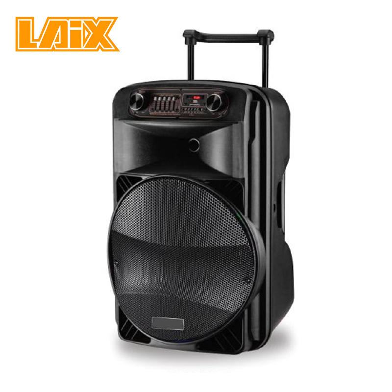 SKD Speaker Plastic Cabinet  10