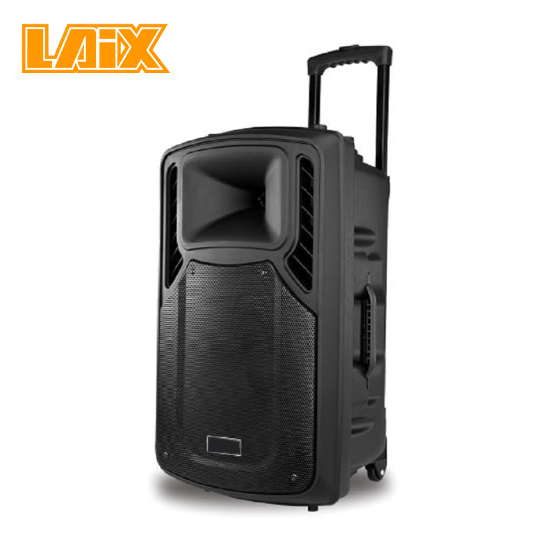 SKD Speaker Plastic Cabinet  10