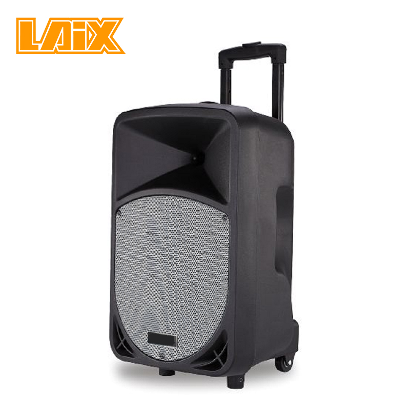 SKD Speaker Plastic Cabinet  10