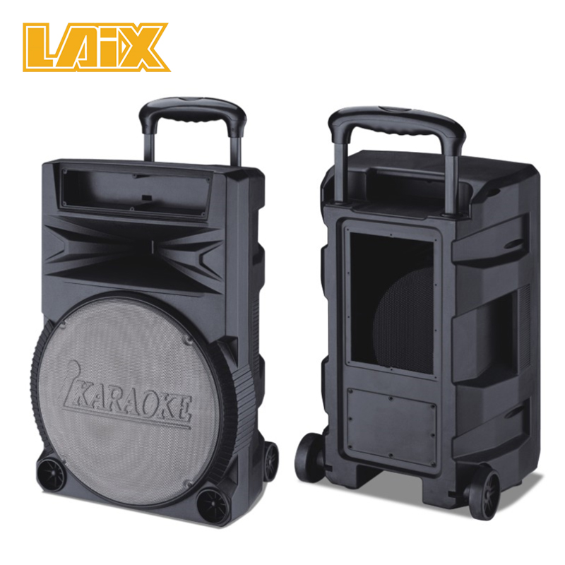 SKD Speaker Plastic Cabinet 15