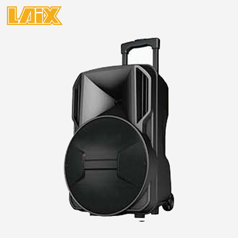 SKD Speaker Plastic Cabinet 12