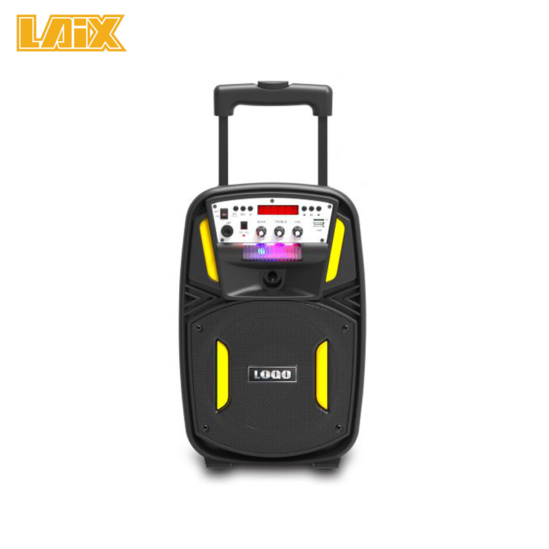 SKD Speaker Plastic Cabinet 8