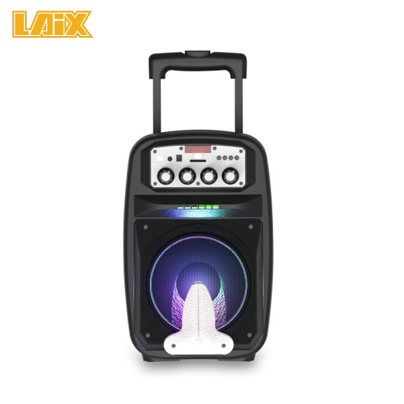 SKD Speaker Plastic Cabinet 8