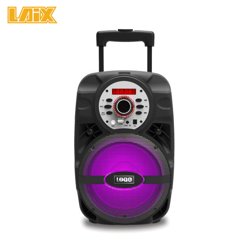 SKD Speaker Plastic Cabinet 8