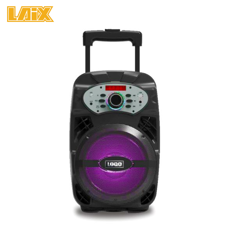 SKD Speaker Plastic Cabinet 8