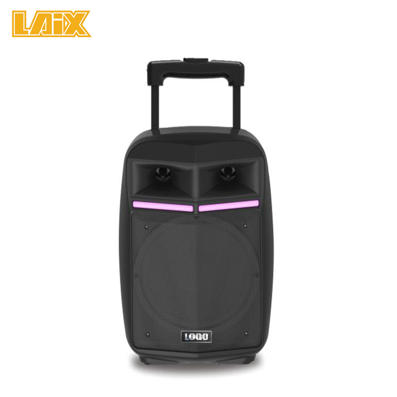 SKD Speaker Plastic Cabinet 8