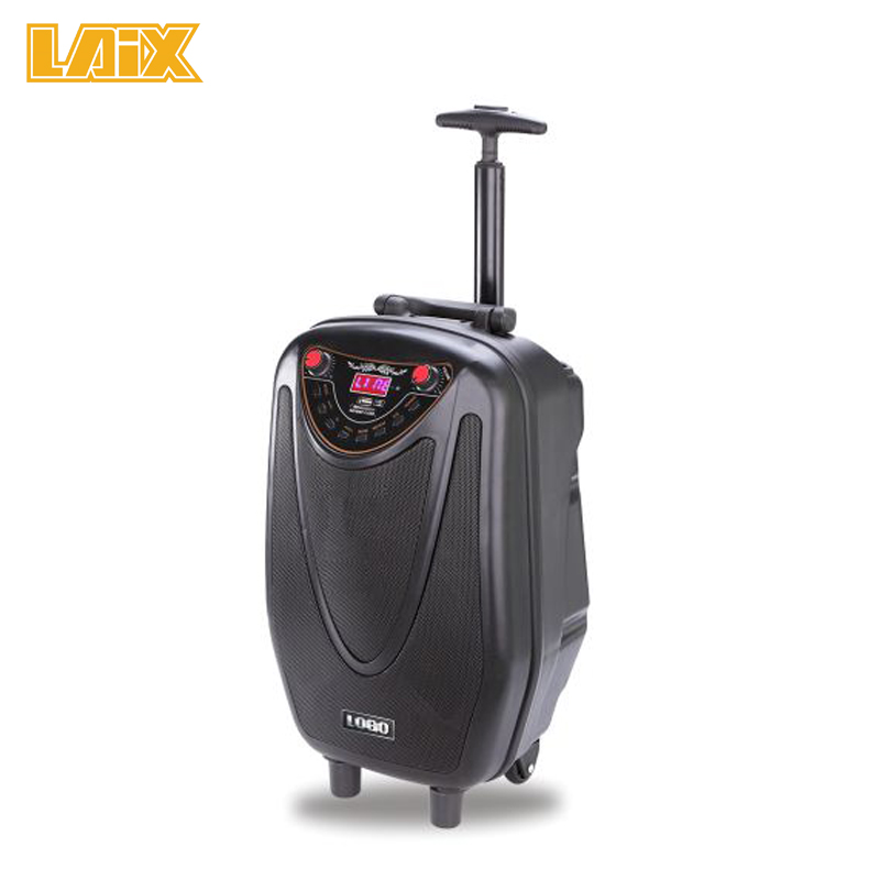 SKD Speaker Plastic Cabinet 10