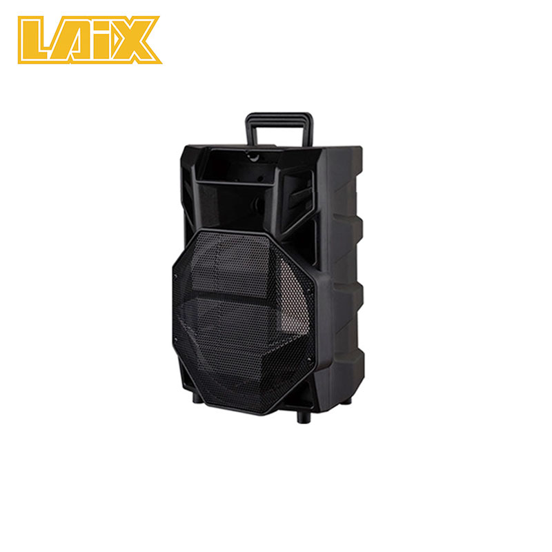SKD Speaker Panel 10 inch item number AA48