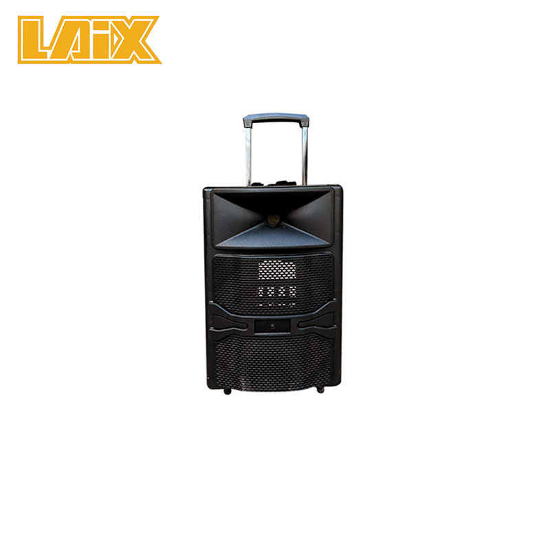 SKD Speaker Panel 12 inch item number AA50