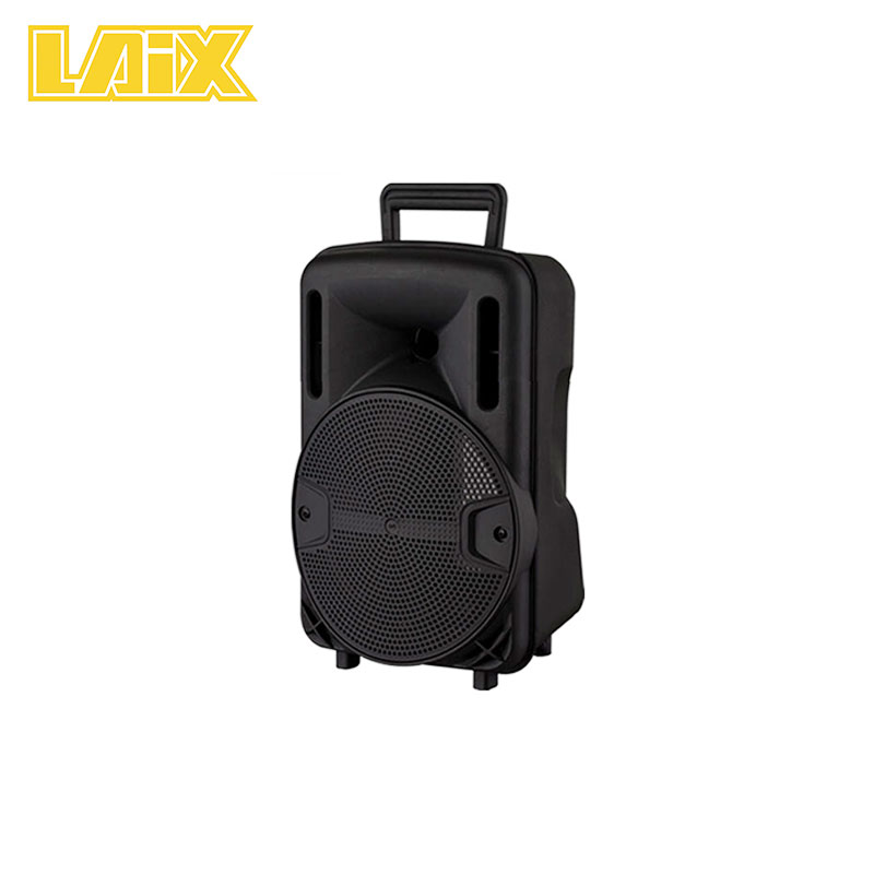 SKD Speaker Panel 8 inch item number AA62