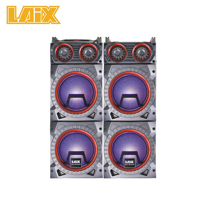 Laix Audio AA73 Professional Stage Speaker Dual  10