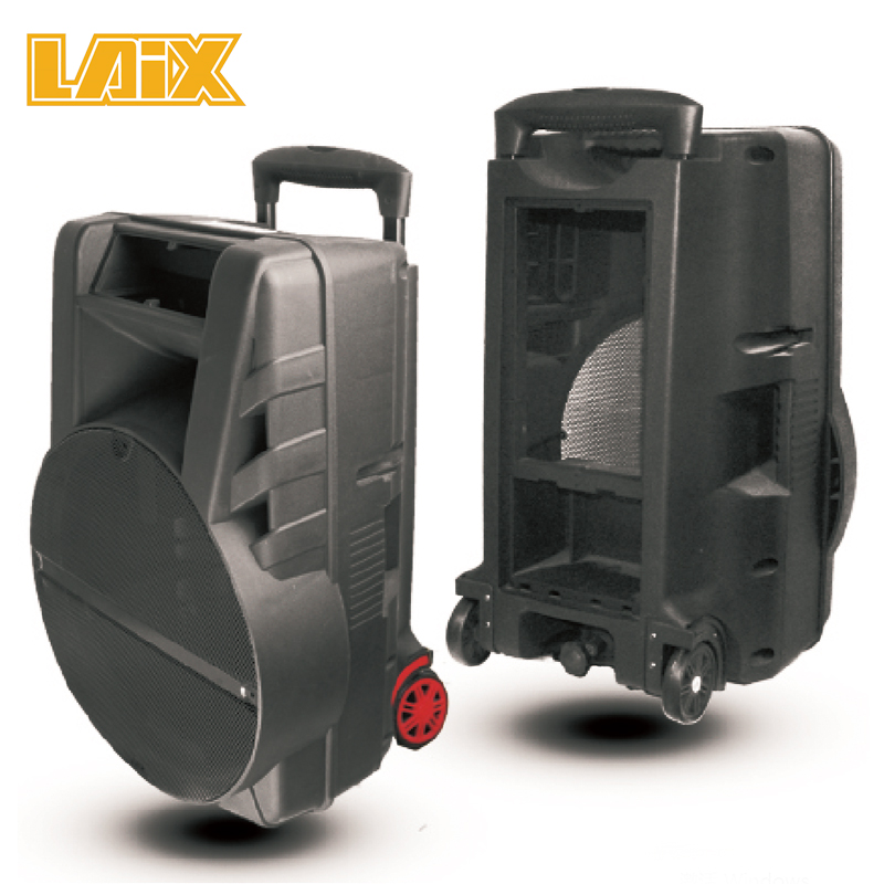 SKD Speaker Plastic Cabinet 12 15