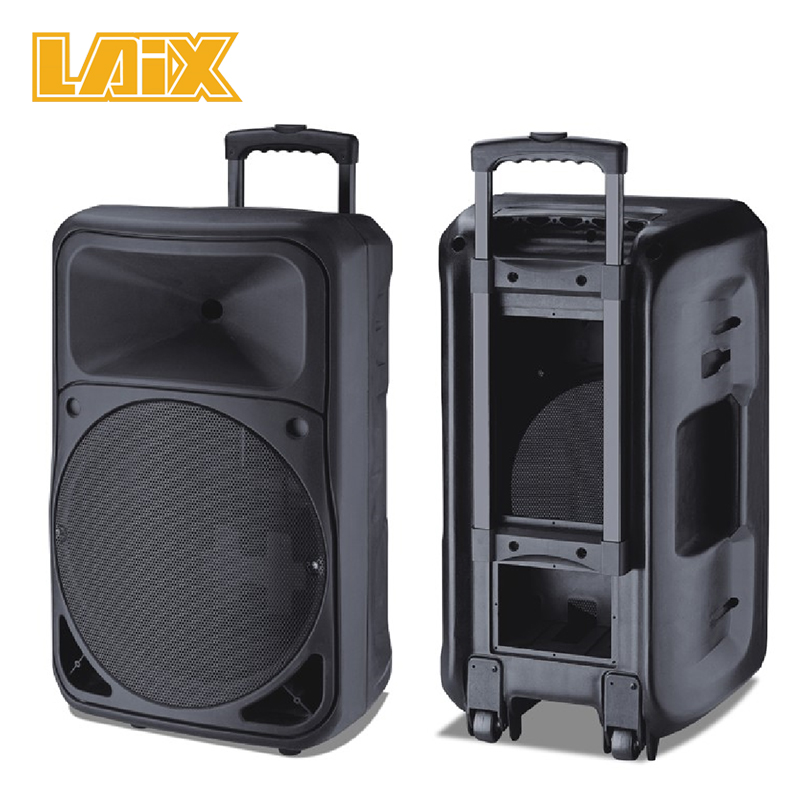 SKD Speaker Plastic Cabinet 8