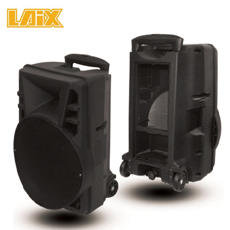 SKD Speaker Plastic Cabinet 12