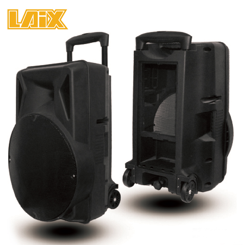 SKD Speaker Plastic Cabinet 12