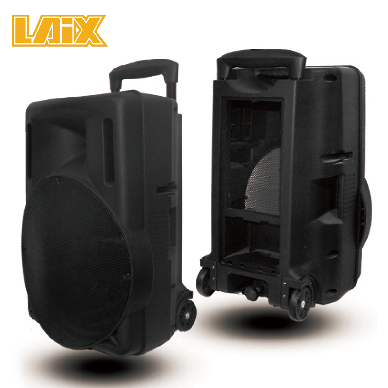 SKD Speaker Plastic Cabinet 12