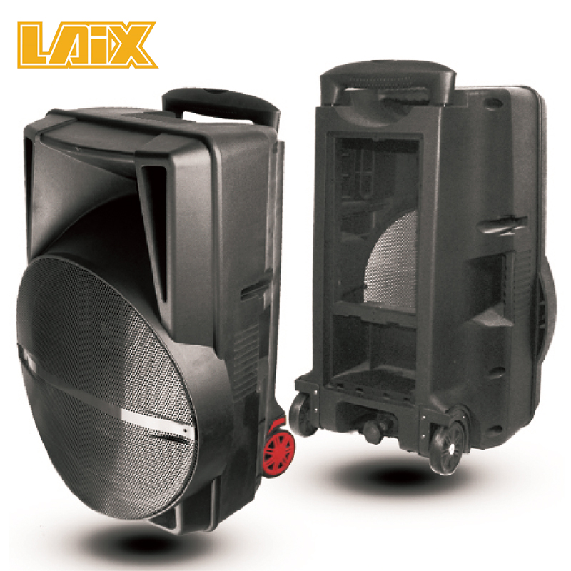 SKD Speaker Plastic Cabinet 15